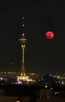 پس زمینه صورتی عروسکی