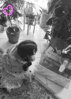 پس زمینه صورتی عروسکی