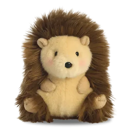  عکس جوجه تیغی برای زمینه کامپیوتر