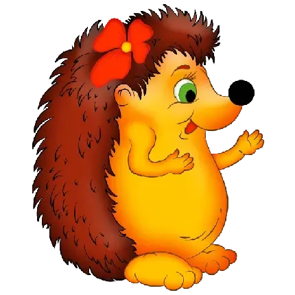  عکس جوجه تیغی برای زمینه کامپیوتر