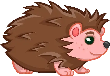  عکس جوجه تیغی برای زمینه کامپیوتر