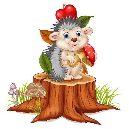 عکس جوجه تیغی وحشی