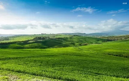  عکس پس زمینه چمنزار با کیفیت بالا