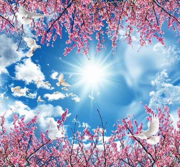  عکس آسمان آبی پاک برای پروفایل