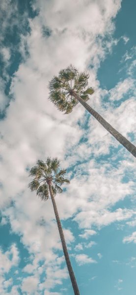  والپیپر آسمان زیبا