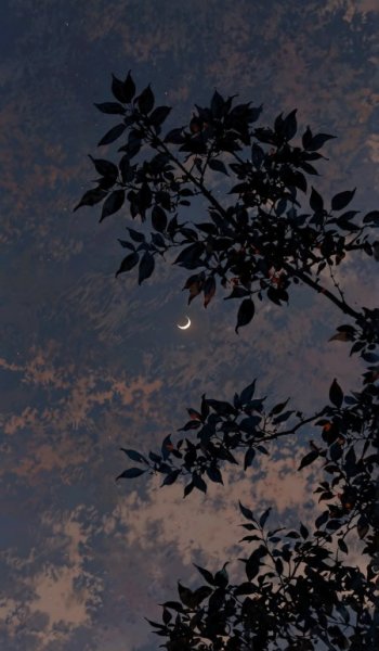  تصویر زمینه فانتزی برای گوشی موبایل