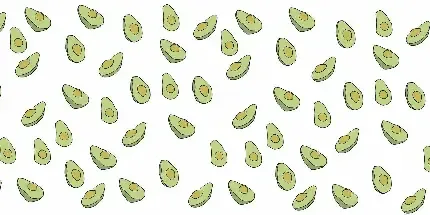  عکس آووکادو کیوت