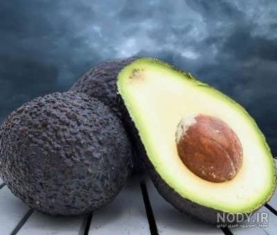  عکس آووکادو واقعی