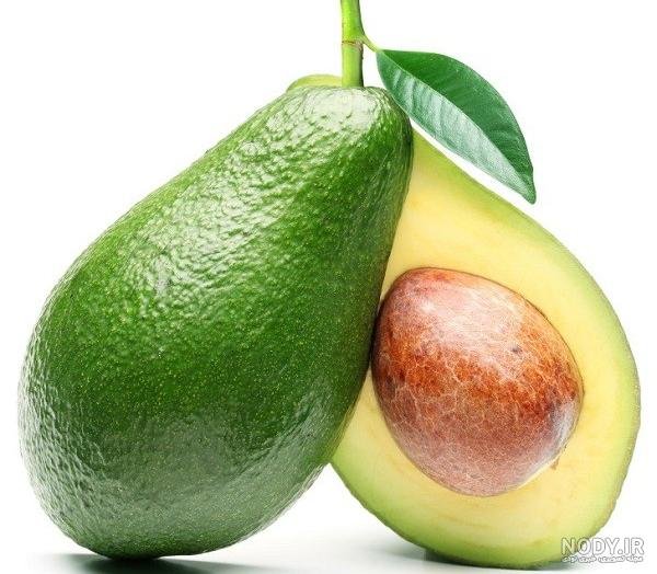  عکس آووکادو واقعی