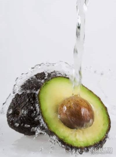  عکس آووکادو واقعی