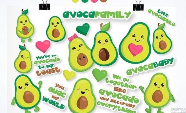 عکس آووکادو عروسکی