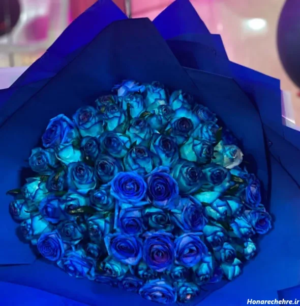  عکس گل رز بنفش برای پروفایل