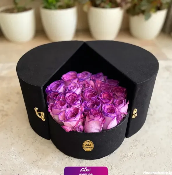  عکس گل رز بنفش برای پروفایل