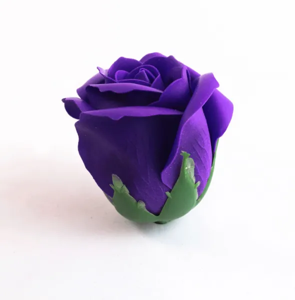  عکس گل رز بنفش برای پروفایل