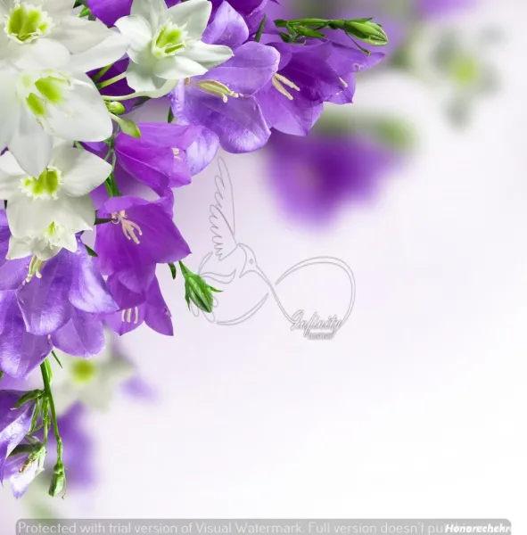  عکس گل بنفش برای پروفایل واتساپ