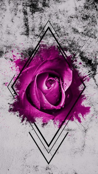  عکس گل بنفشه برای والپیپر