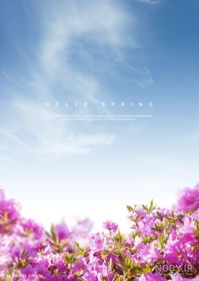  عکس گل بنفشه برای تصویر زمینه