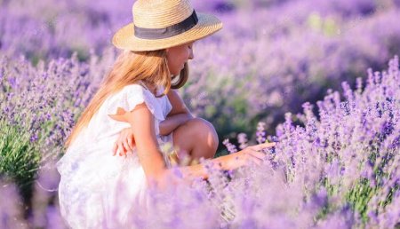  عـکس گل های بسیار زیبا با کیفیت بالا