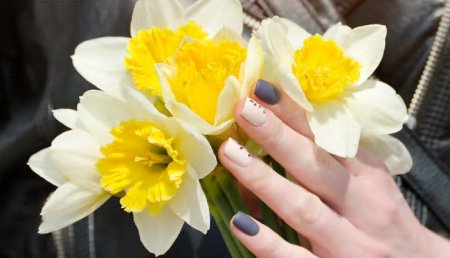  عـکس گل های بسیار زیبا با کیفیت بالا