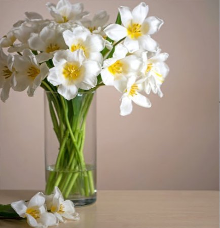  عـکس گل های بسیار زیبا با کیفیت بالا