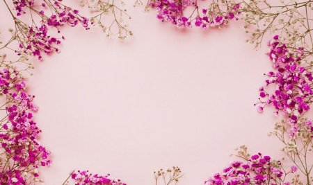  عـکس گل های بسیار زیبا با کیفیت بالا