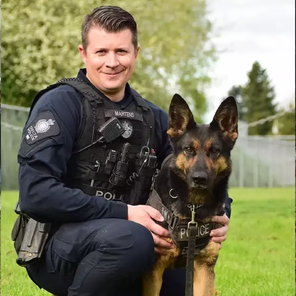  عکس سگ ژرمن خوشگل