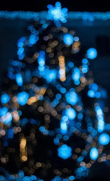  عکس کریسمس طبیعی واقعی