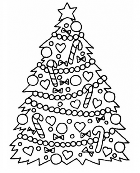  عکس کریسمس برای طراحی