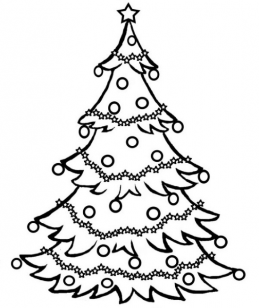  عکس کریسمس برای طراحی