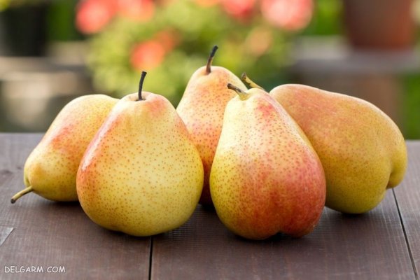  عکس پس زمینه میوه گلابی تازه