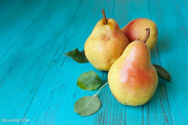  عکس پس زمینه میوه گلابی تازه