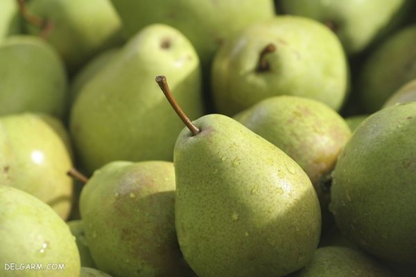  عکس پس زمینه میوه گلابی تازه