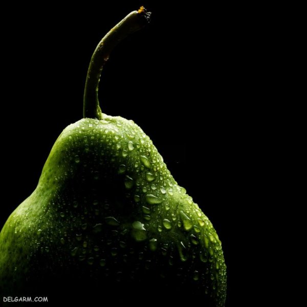 عکس گلابی برای پروفایل