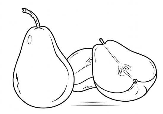  عکس گلابی نقاشی