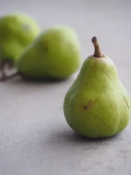  عکس میوه گلابی واقعی