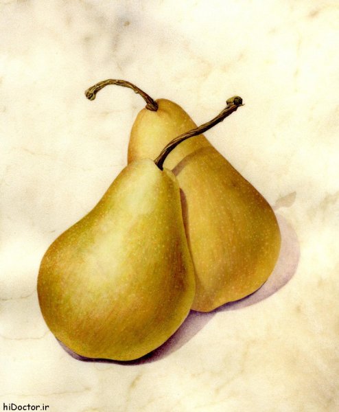  عکس های گلابی جنگلی