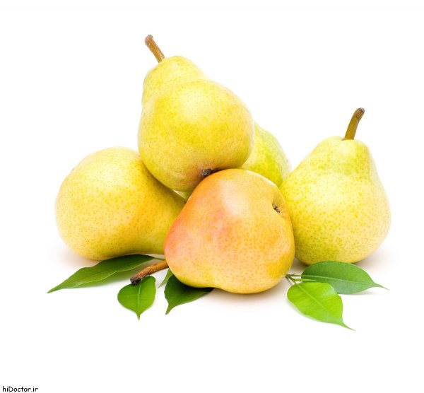  عکس های گلابی جنگلی