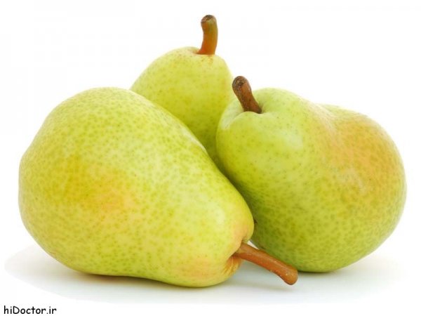  عکس گلابی روی درخت