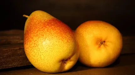 عکس گلابی وحشی