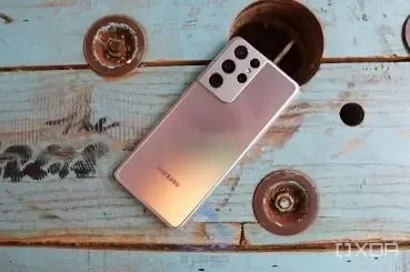 عکس گلابی وحشی