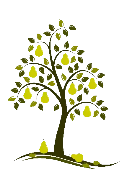 عکس گلابی وحشی