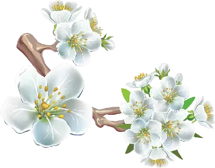  والپیپر گلابی نرم و آب دار