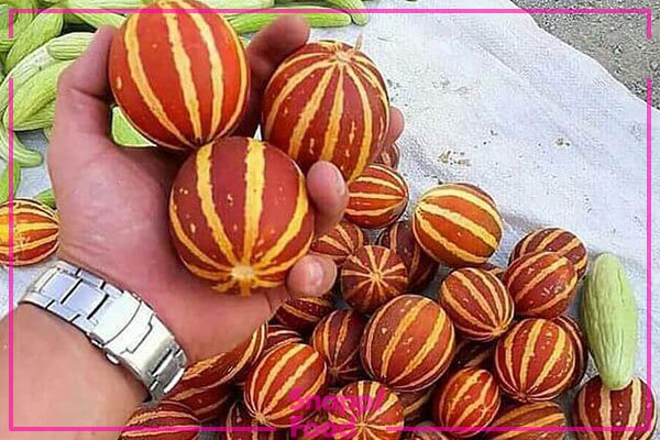  عکس میوه های خوشمزه