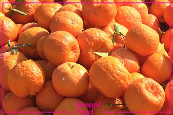  عکس میوه های زمستانی