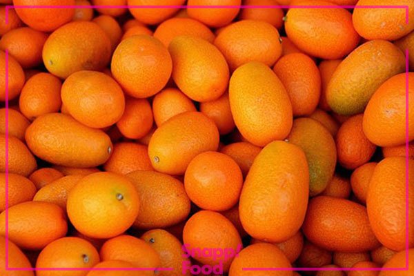  عکس میوه های زمستانی