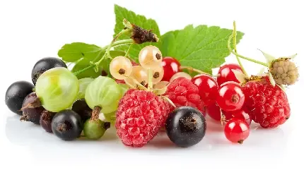  عکس میوه برای تصویر زمینه