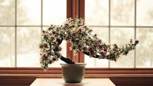  عکس مینیمال گلدان