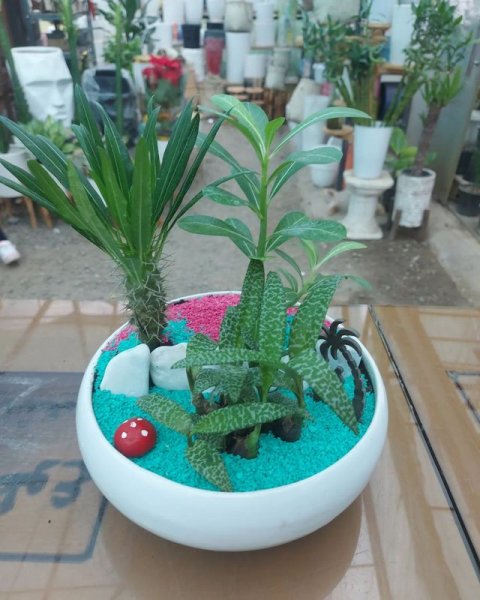  عکس مینیمال گلدان