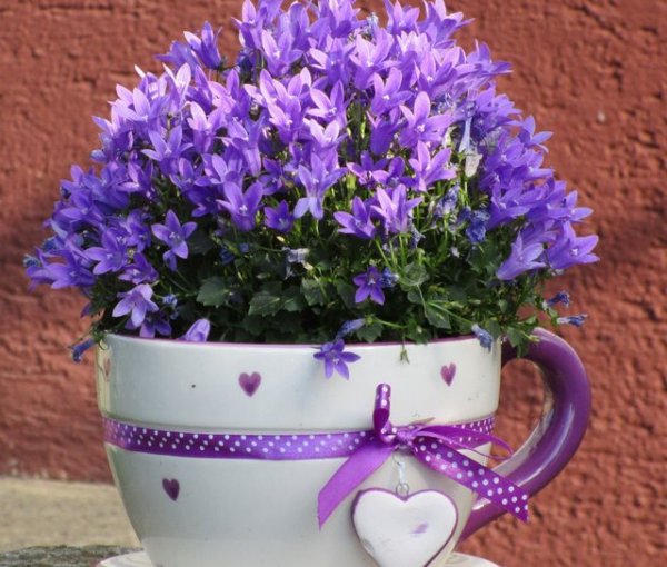  عکس مینیمال گلدان