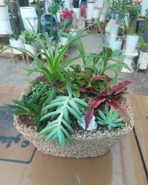  عکس مینیمال گلدان